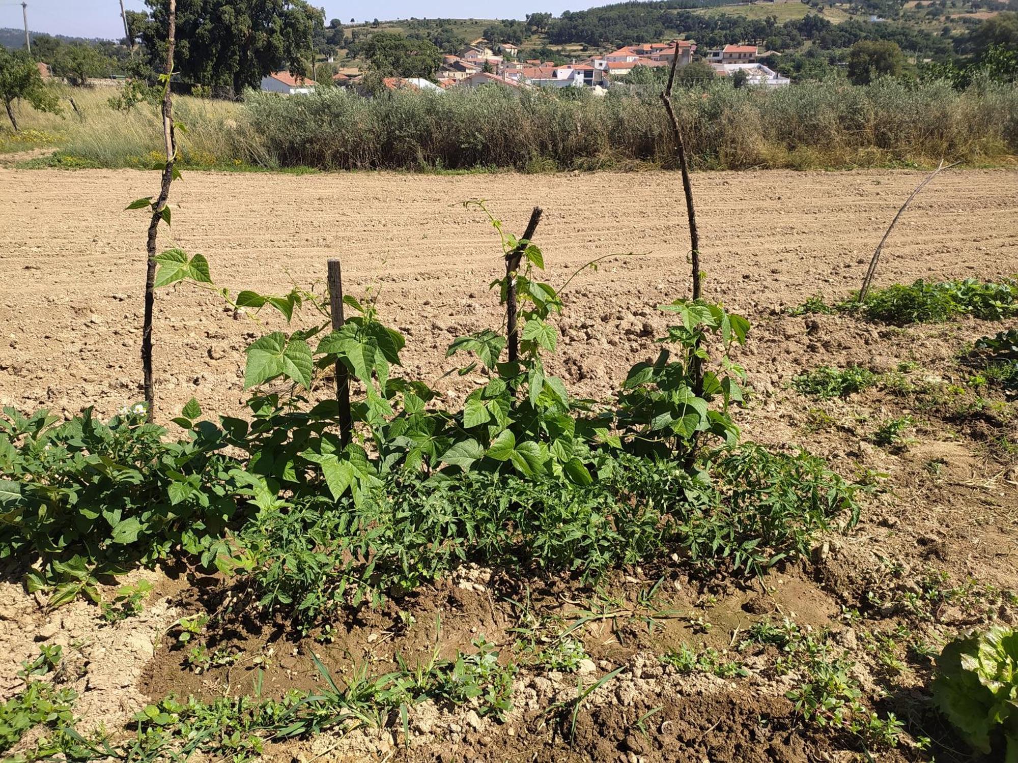 Vivenda Das Eiras Vale de Porco Zewnętrze zdjęcie
